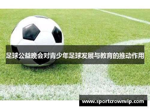 足球公益晚会对青少年足球发展与教育的推动作用